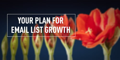 Your 6-Month Plan for Building a Powerful Email Marketing List