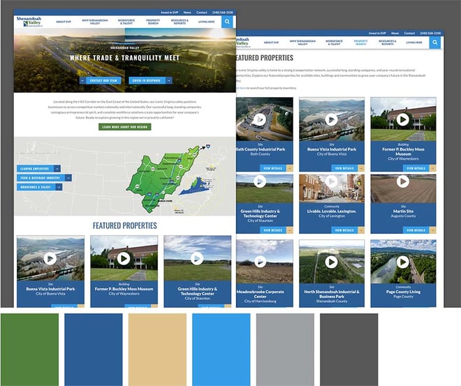 SVP website palette and wireframes