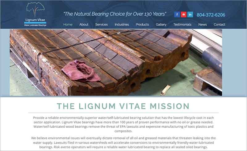 Previous Lignum Vitae Solutions homepage