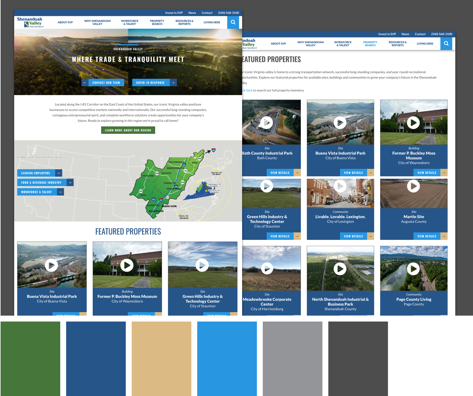 SVP Wireframes & Color Palette - Case Study Single